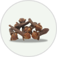 Clove